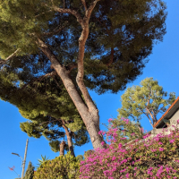 08 01 Eze à Villefranche par le plateau St Michel